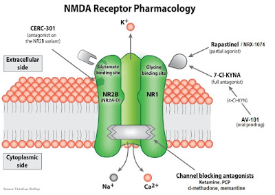 NMDA Receptor Targeting Offers New Hope For Severely Depressed